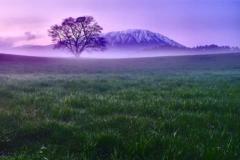 Lucker Notyourbusiness