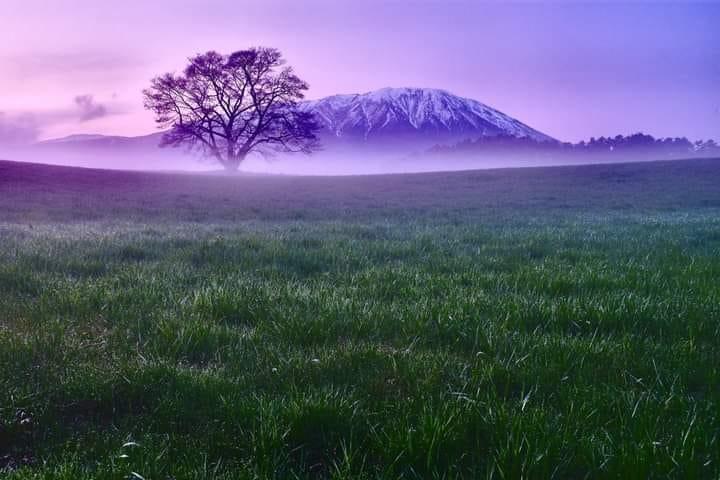 Lucker Notyourbusiness