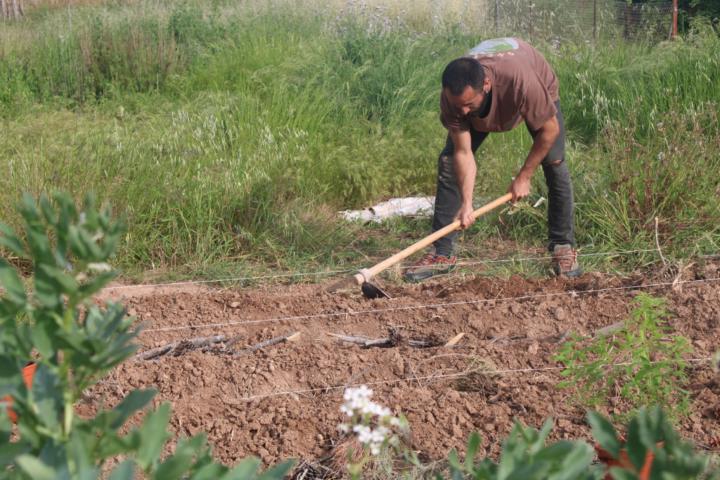 Javier Terminel Fernández