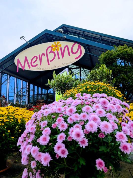 Blumenhaus Merßing Lucy