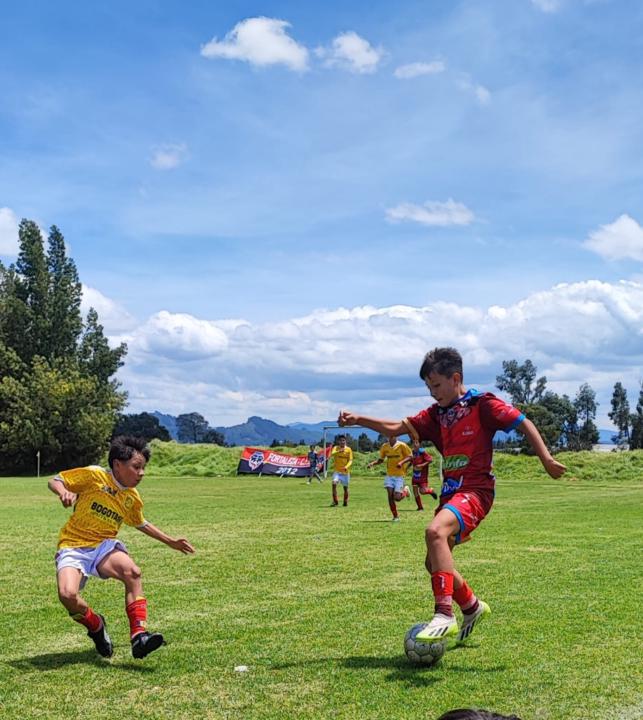 Tomas Sanchez
