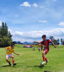 Tomas Sanchez