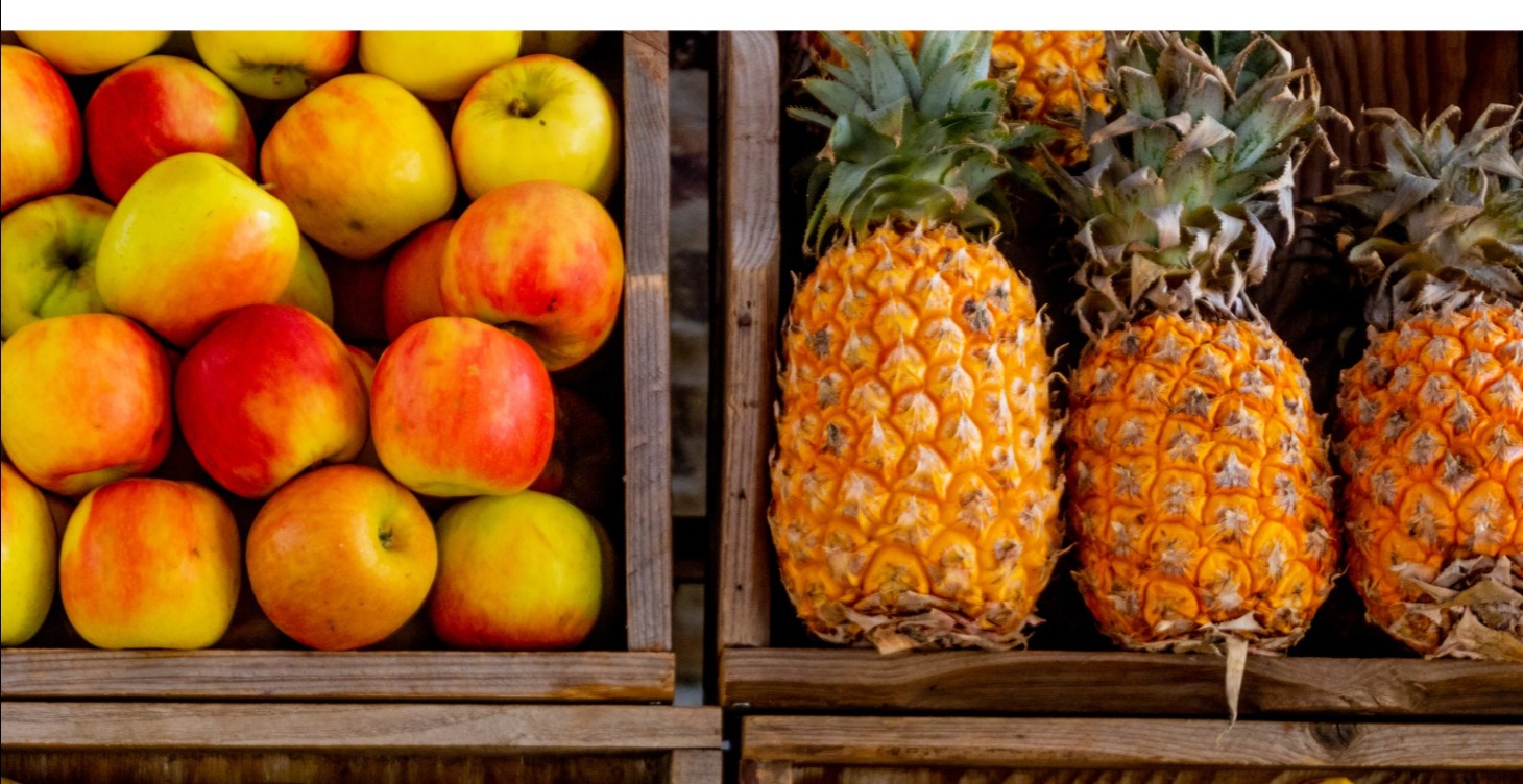 8 week Nutrition Foundations