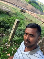 Karthikeyan Annamalai