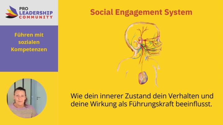 Social Engagement System: Deine biologische Führungskompetenz