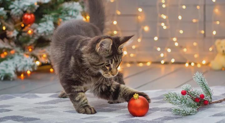 Jahreswechsel mit innerer Kraft