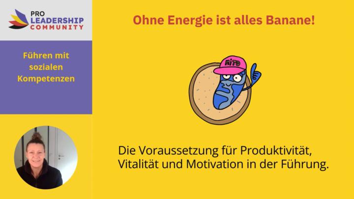 proLEAD X OPEN wieder mit neuen Teilnehmer:innen