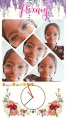 Migesty Pavion