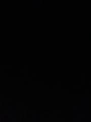 Karina Gerbutaviciute