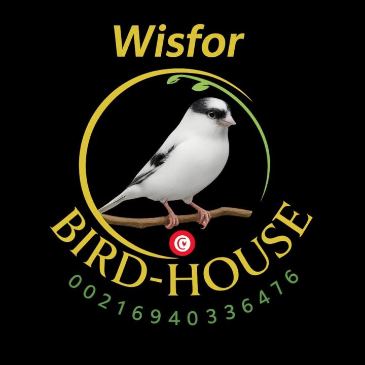 Wissem Ben hadj hmida