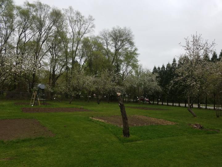 Gardens 