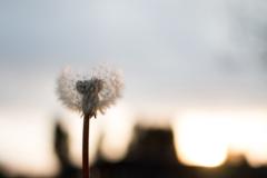 Ana P Rodríguez Martí