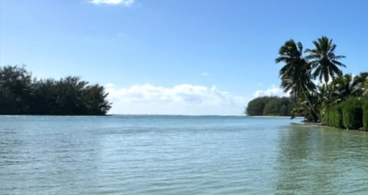 The Real Authors Journey