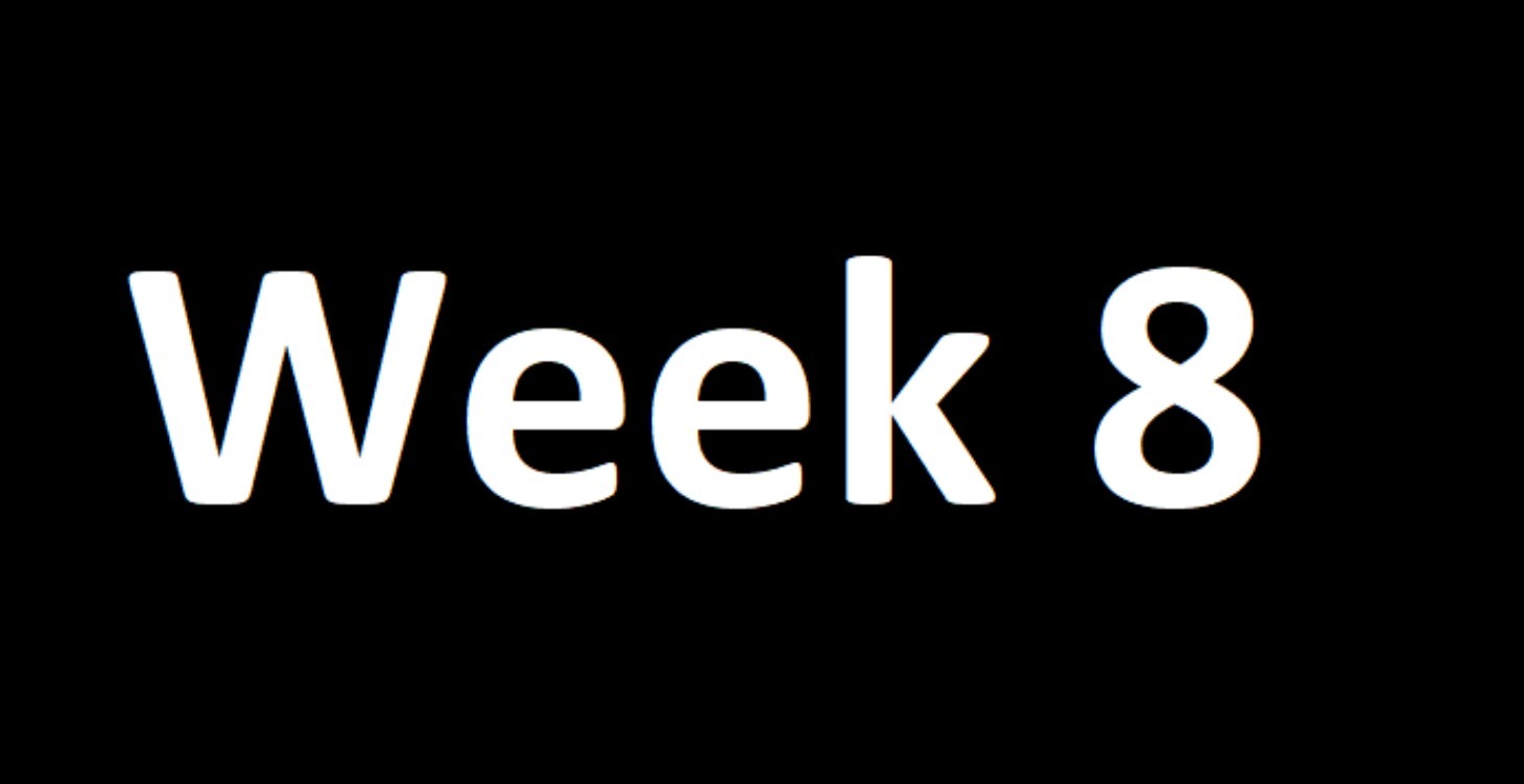 Week 8