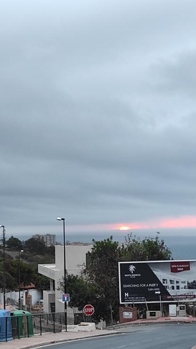 María Jesús Cortés Márquez