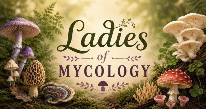 Ladies of Mycology - LoM