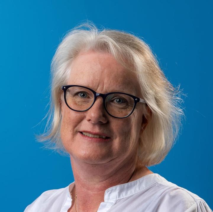 Liz Phipps