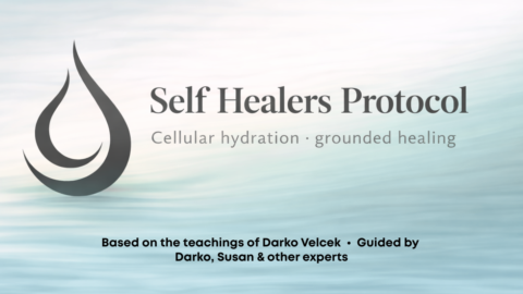 Self Healers Protocol SHP gallery image