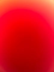 Rocio Gonzalez Moreno