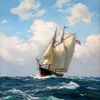 Nguyễn Hồng Hữu