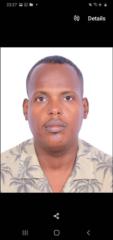 Ali Abdi