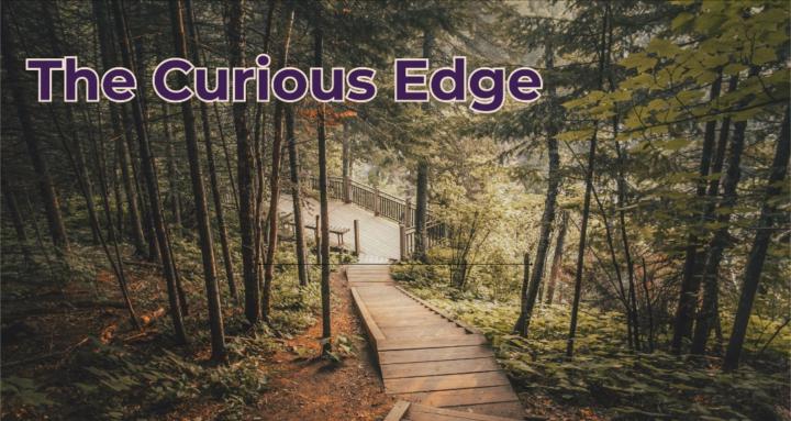 The Curious Edge