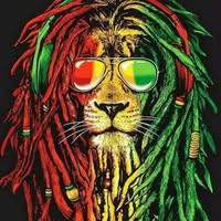 Alexander Leiva Calle