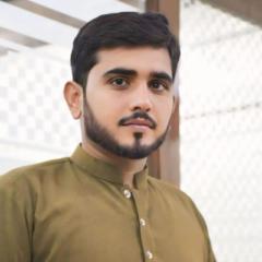 Muhammad Shahzad Saleem