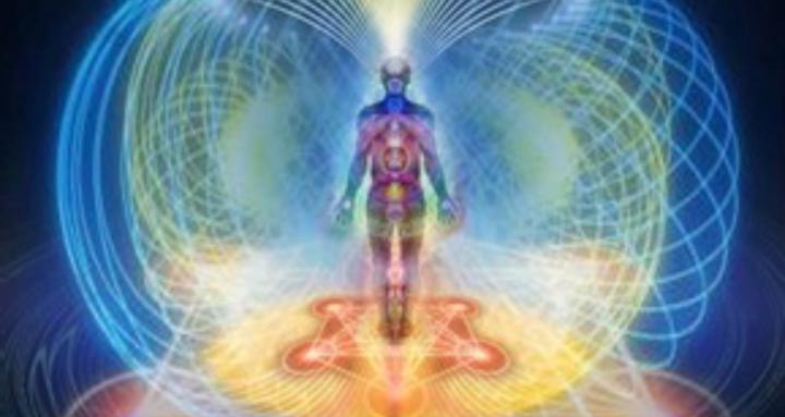 The Law of Attraction Winners 