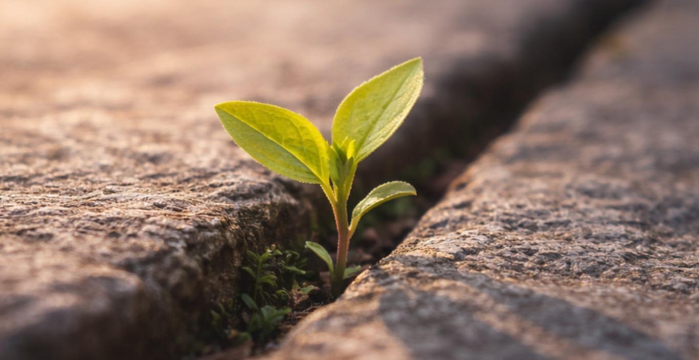 What Is That Part Trying to Protect?