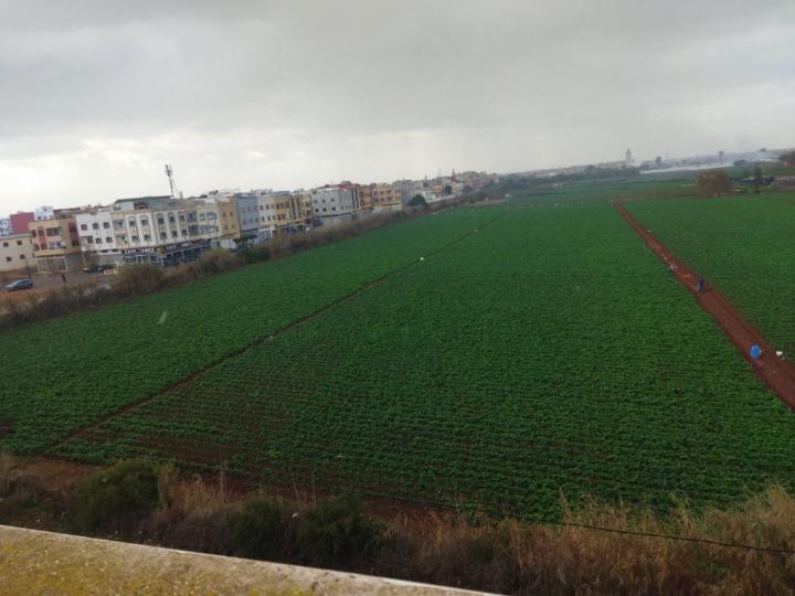 Boumlik Elmahfoud