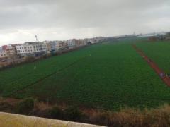 Boumlik Elmahfoud