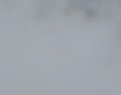 Paul-Antoine Inghelbrecht