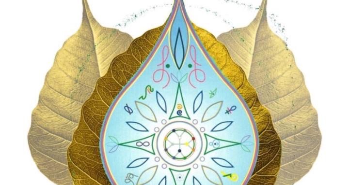 Quantum Plasma & DNA Members