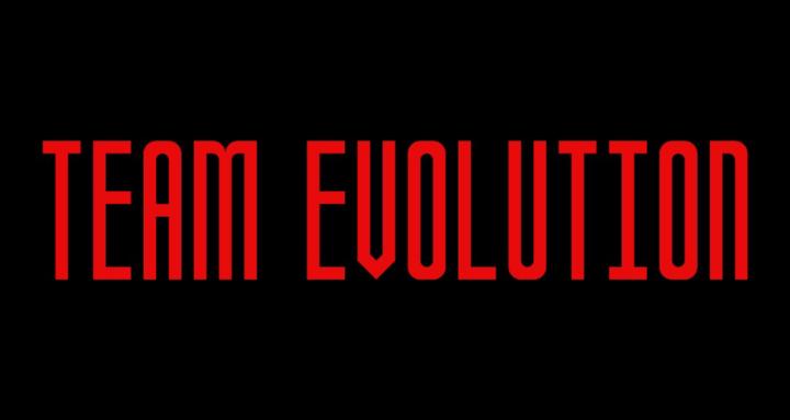 Team Evolution Coaching