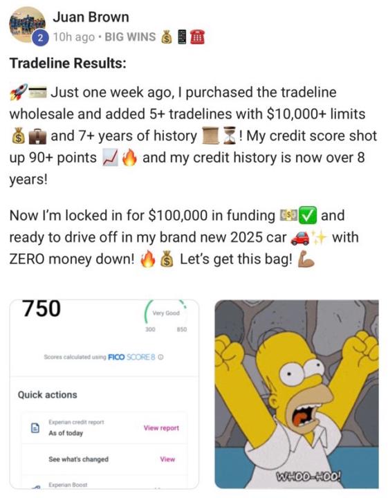 💰Tradeline Wholesale Plug 50% Off (1 Week Results)