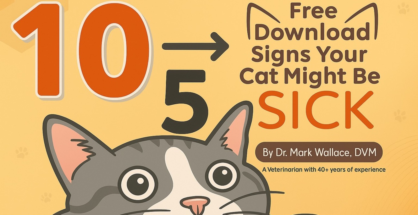 Basic Lead Magnet Training. Sell Today. Get Emails