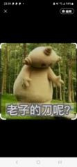 Sean Yenlee