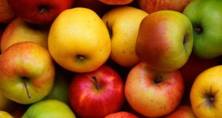 Former Fatsos United