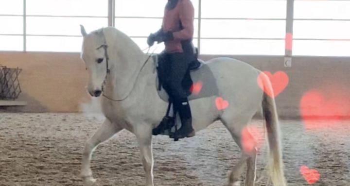 STAAR - Hanna Engström