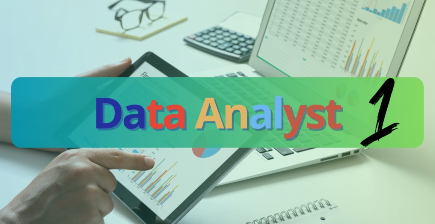 Data Analyst Kurs (Teil 1)