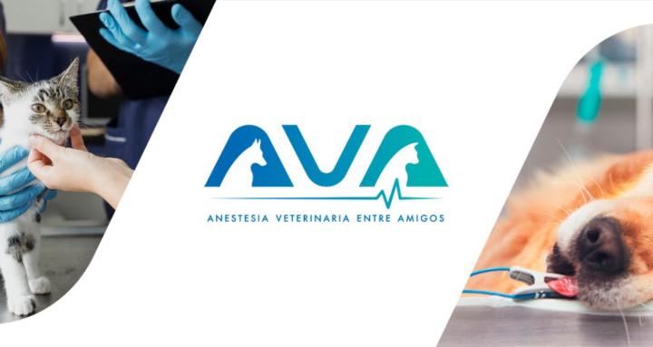 AnestesiaPRO Essentials