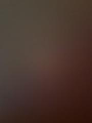 Richard Šviržovský