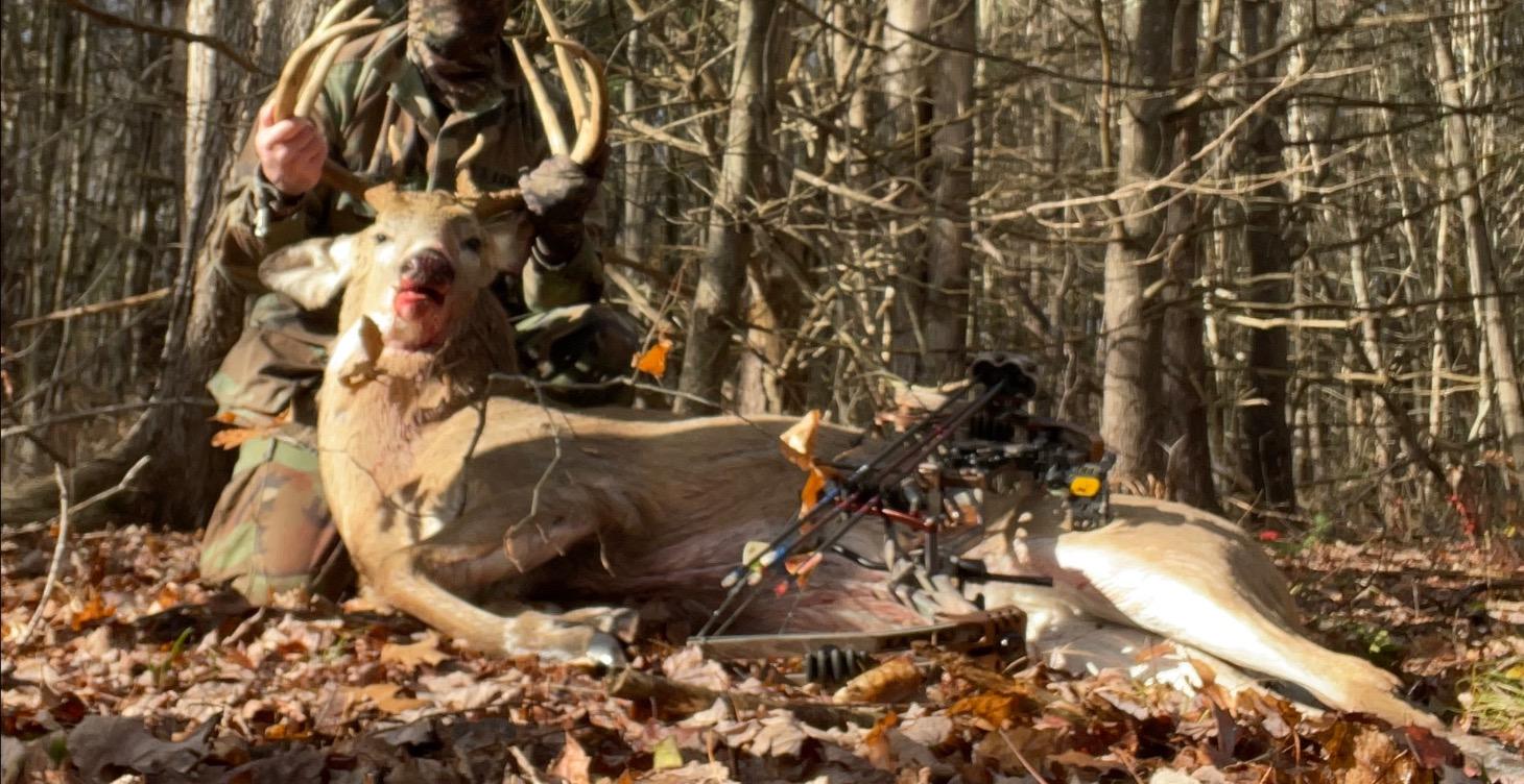 Beginners Guide For Archery Hunting