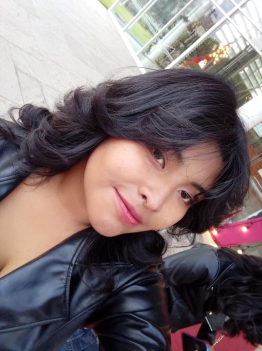 Romina Alexandra Chique Huamani