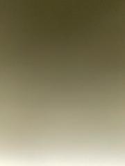 Kamil Wołczański-Zub