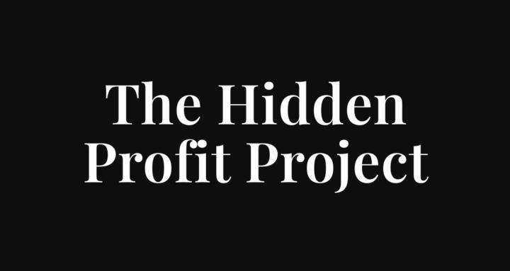 The Hidden Profit Project