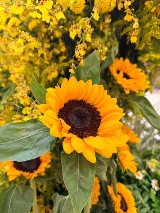 Paweena Wongwattanachai