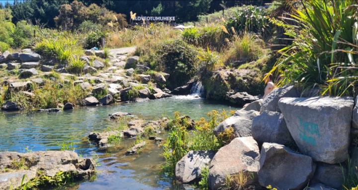 Bagheera's Adventure School