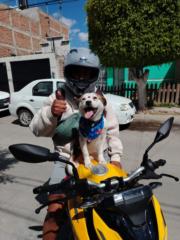 Axel Sanchez